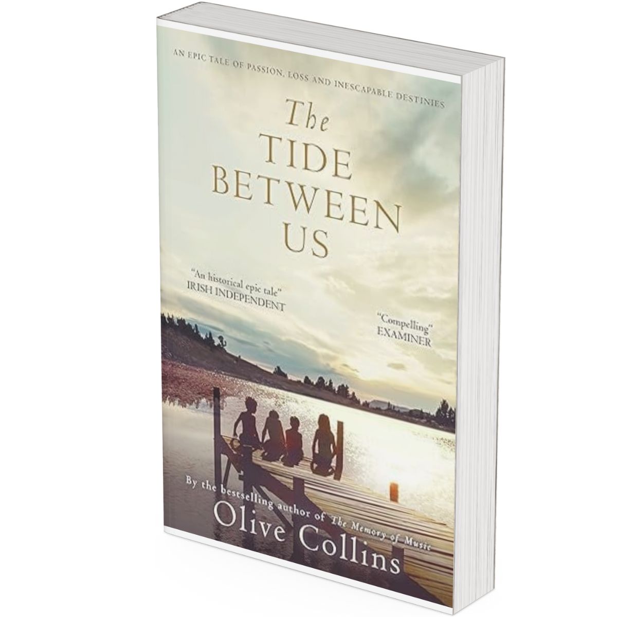 Paperback: The Tide Between Us: An Irish-Caribbean Story of Slavery & Emancipation